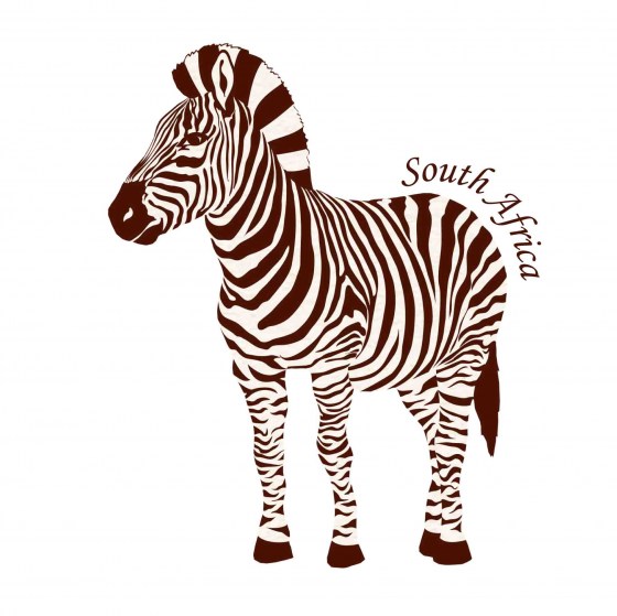 zebra mono apron image